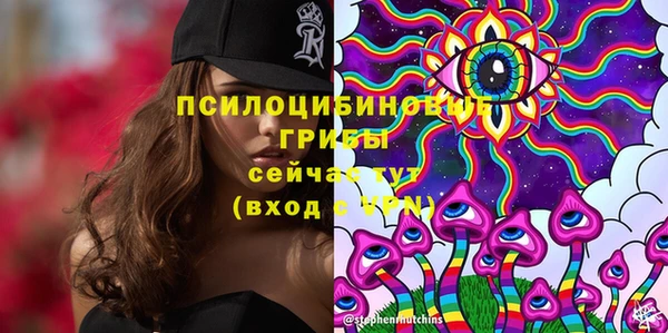 хмурый Балабаново
