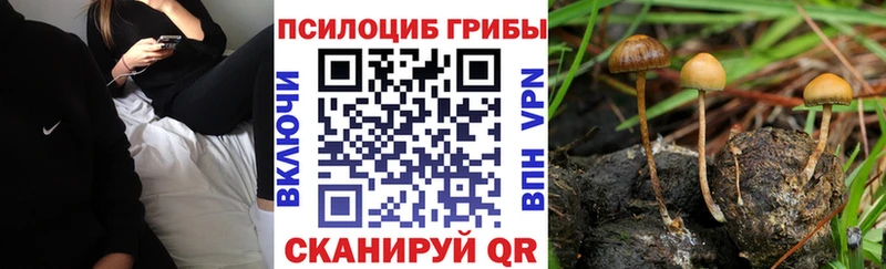 Псилоцибиновые грибы ЛСД  Буинск 